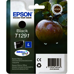 Epson Apple T1291 Inkjet Printer Cartridge, Black